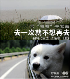 2011款 2.3 自动 尊贵版 7座