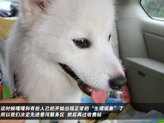 2011款 2.3 自动 尊贵版 7座