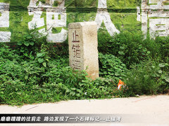 2011款 2.3 自动 尊贵版 7座