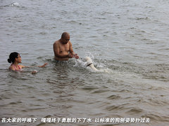 2011款 2.3 自动 尊贵版 7座