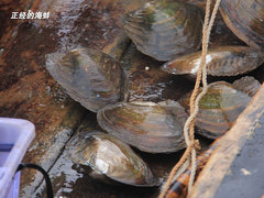 2011款 2.3 自动 尊贵版 7座