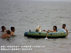 2011款 2.3 自动 尊贵版 7座