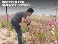 2011款 2.3 自动 至尊版 7座