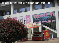 2011款 EX 劲界 2.4L CVT 四驱时尚版5座