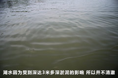 2011款 EX 劲界 2.4L CVT 四驱时尚版5座