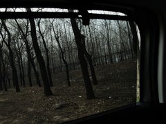 2011款 1.6T 自动 豪华型 5座