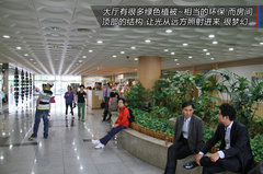 2011款 两厢 1.6GLS 自动 尊贵型