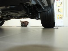 2010款 2.0TSI 四驱旗舰导航版 5座