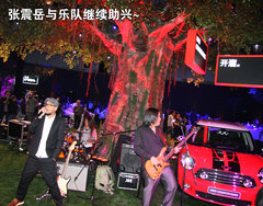 2011款 1.6L 自动 COOPER Excitement版 5座