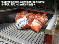 2010款 3.0L 手动 国Ⅲ 两驱豪华型 5座