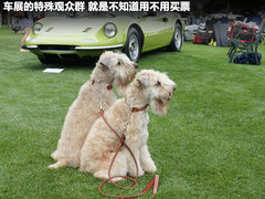2011款 6.5L AT LP700-4