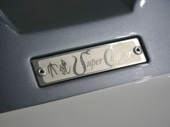 2010款 3.3L 自动 豪华型
