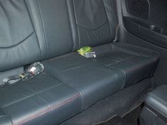 2011款 1.6L 自动 豪华版