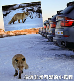2011款 3.0T xDrive35i豪华型 5座