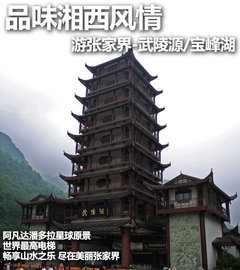 2011款 1.4L 手动 GL