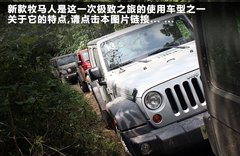 2011款 3.6 自动 70周年限量版 5座