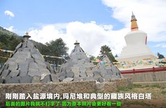 2011款 3.6 自动 70周年限量版 5座