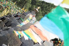 2011款 3.6 自动 70周年限量版 5座