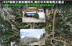 2011款 3.6 自动 70周年限量版 5座