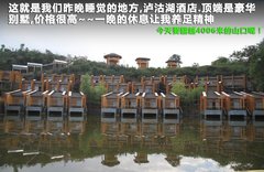 2011款 3.6 自动 70周年限量版 5座