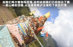 2011款 3.6 自动 70周年限量版 5座