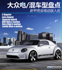 2011款 V6 TSI 混动豪华版 5座