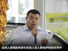 2011款 3.0L V6 DSG 旗舰版