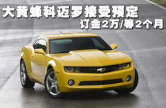 2011款 3.6L 自动 传奇性能版