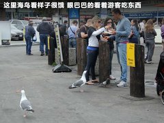 2011款 3.6L 自动 传奇性能版