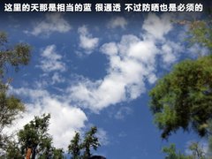 2011款 3.6L 自动 传奇性能版