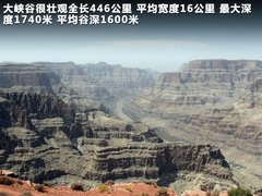 2011款 3.6L 自动 传奇性能版