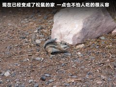 2011款 3.6L 自动 传奇性能版