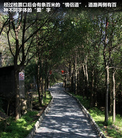 2011款 2.0T 手动 商务版 7座