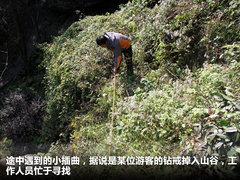 2011款 2.0T 手动 商务版 7座