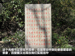 2011款 2.0T 手动 商务版 7座