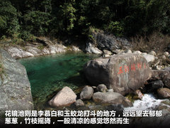 2011款 2.0T 手动 商务版 7座