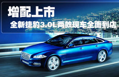 2011款 3.0 自动 全景商务版