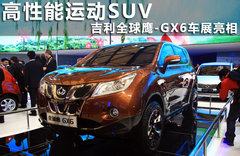 2011款  基本型