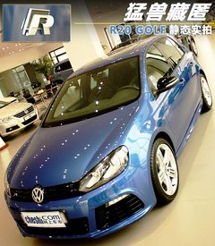 2011款 R 2.0TSI 