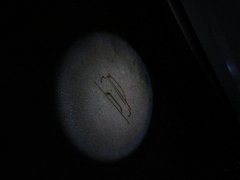 2012款 2.0T 自动 5门耀致版 5座