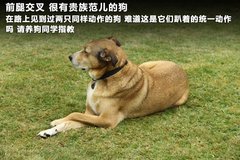 2012款 2.0T 自动 3门耀致版 4座