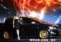 2011款 两厢 1.4 SL 手动 