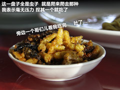 2011款 1.8T 自动 四驱豪域版 5座