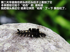 2011款 1.8T 自动 四驱豪域版 5座