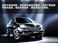 2011款 3.2L 自动 四驱尊域版 5座