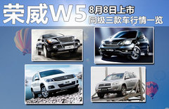 2011款 3.2L 自动 四驱尊域版 5座