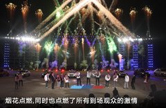 2011款 4.0L V8 双门碳纤顶版