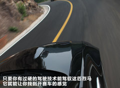 2011款 4.0L V8 双门碳纤顶版