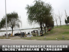 2011款 1.6L 手动 舒适型 5座