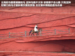 2011款 2.4T 手动 柴油四驱超豪华版 7座